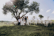 AMISH WEDDING. Изображение 71481