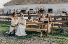 AMISH WEDDING. Изображение 71489