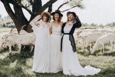 AMISH WEDDING. Изображение 71479