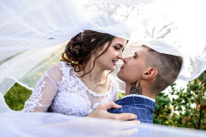 Свадебные фото. Изображение 71643