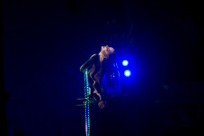 Lollipop Lyra . Изображение 71741