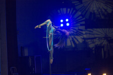 Lollipop Lyra . Изображение 71743