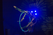 Lollipop Lyra . Изображение 71742