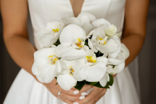 Примеры фотографий. Изображение 74476