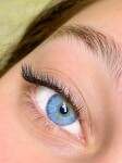 Lash&brow . Изображение 72065