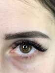 Lash&brow . Изображение 72063