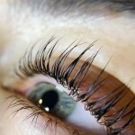 Lash&brow . Изображение 72060