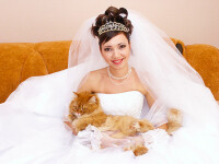 Сборник фото 2. Изображение 72220