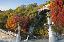 Свадьбы. Изображение 72397