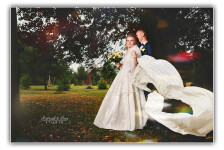 Wedding. Изображение 72856