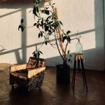 Open space\Black space. Изображение 73530