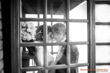 свадьбы. Изображение 6596