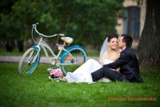 свадьбы. Изображение 6592