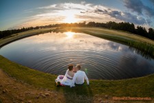 свадьбы. Изображение 6595