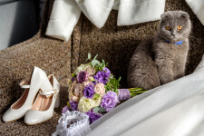 Влад и Татьяна. Изображение 74440 Влад и Татьяна. Изображение 74440