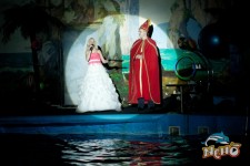 Дельфинарий. Изображение 6944