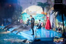 Дельфинарий. Изображение 6946