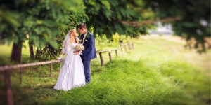 Весільна фотосесія. Изображение 13151