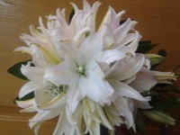 свадебные букеты. Изображение 7090