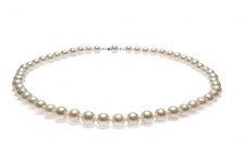 Ожерелья из жемчуга. Изображение 7139