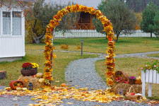 Осенние свадьбы. Изображение 7178