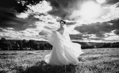 wedding. Изображение 7924