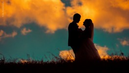 wedding. Изображение 7914