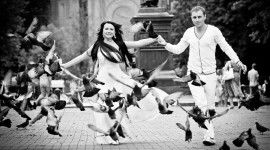 Свадебное фото. Изображение 7937