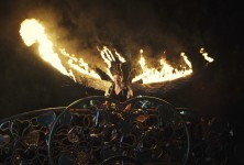 Аделаида шоу. Изображение 8052