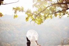 Осень. Изображение 733