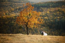 Осень. Изображение 723