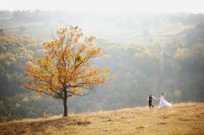 Осень. Изображение 724