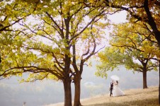 Осень. Изображение 732