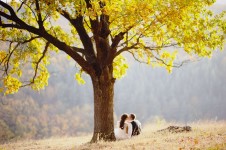 Осень. Изображение 735