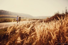 Love Stories. Изображение 706