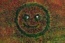 Love Stories. Изображение 713