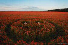 Love Stories. Изображение 710