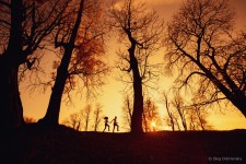 Love Stories. Изображение 709