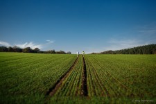 Love Stories. Изображение 705