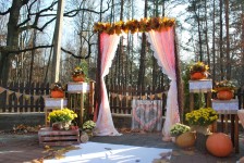 Выездные церемонии. Изображение 8700