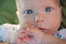 Дети. Изображение 8780