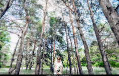 Свадебное портфолио. Изображение 8876