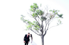 Свадебное портфолио. Изображение 8895