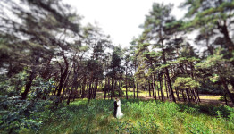 Свадебное портфолио. Изображение 8877