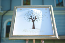 Свадьба под многовековым дубом. Изображение 8866