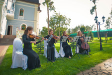 Свадьба под многовековым дубом. Изображение 8865