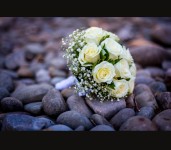 Wedding Summer. Изображение 8939 Wedding Summer. Изображение 8939