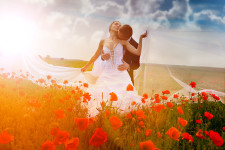 Wedding. Изображение 767 Wedding. Изображение 767