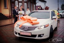 Wedding Foto. Изображение 9365