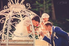 Wedding Foto. Изображение 9379